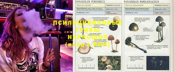 mix Алзамай