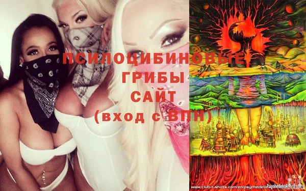марки lsd Алексин