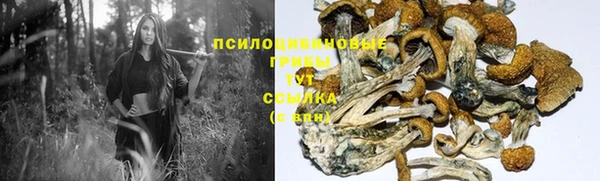 гидропоника Касимов