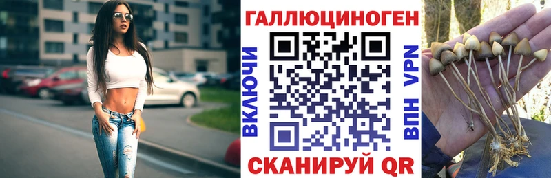 где купить наркоту  Куса  Галлюциногенные грибы ЛСД 