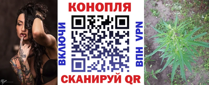 hydra как зайти Куса Шишки марихуана марихуана
